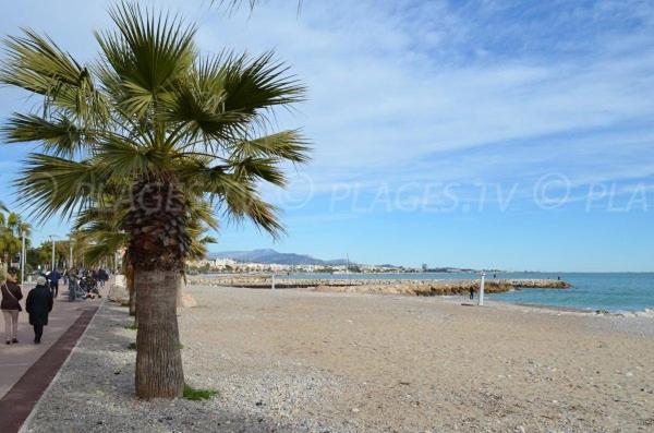 Grand Studio Tres Agreable Avec Bar, Cuisine Et Terrasse กาญเนอ-ซูร์-แมร์ ภายนอก รูปภาพ